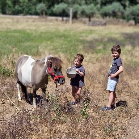 Arca Dos Animais - Farming & Spa Pension Castelo Branco  Buitenkant foto