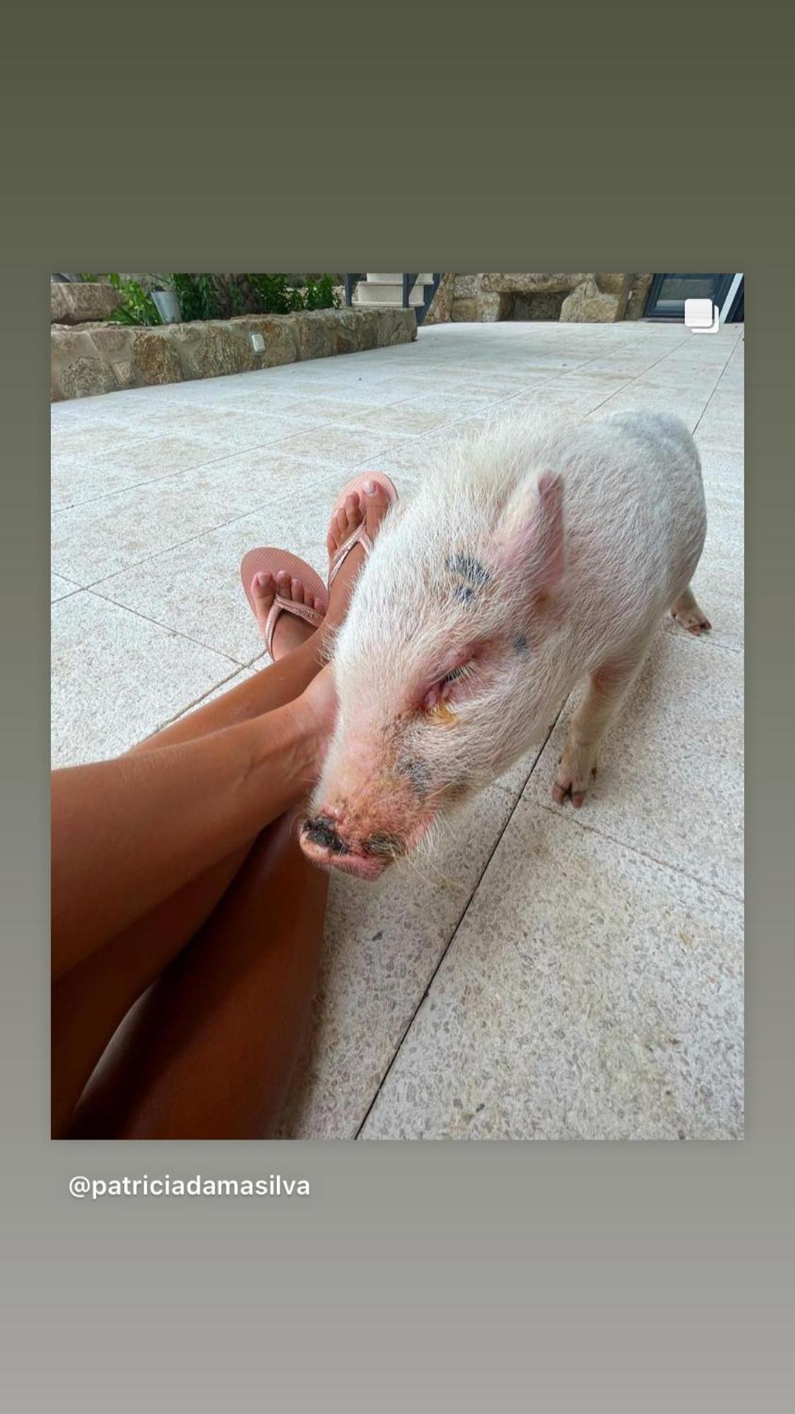 Arca Dos Animais - Farming & Spa Castelo Branco  Buitenkant foto